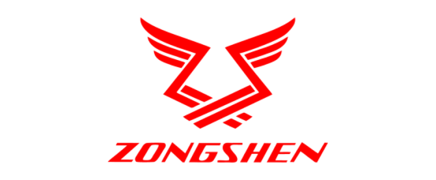 zongshen pumps