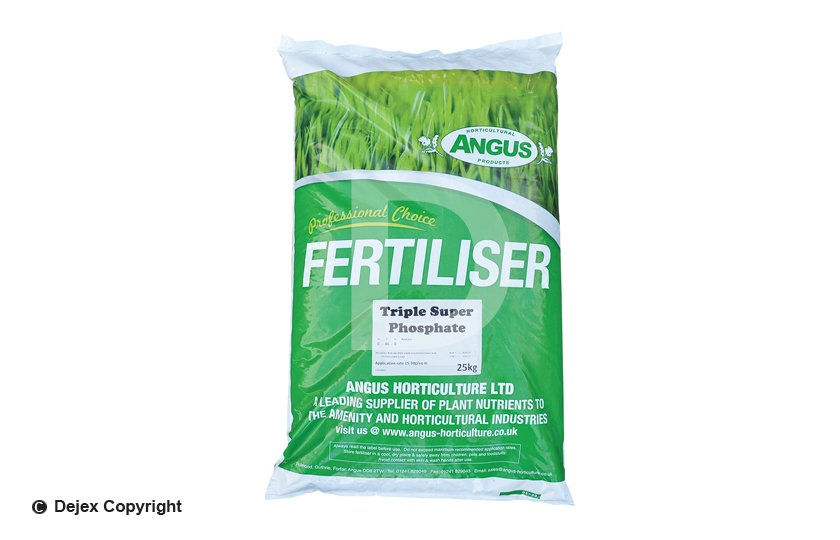 ANGUS TRIPLE SUPER PHOSPHATE 45.5%