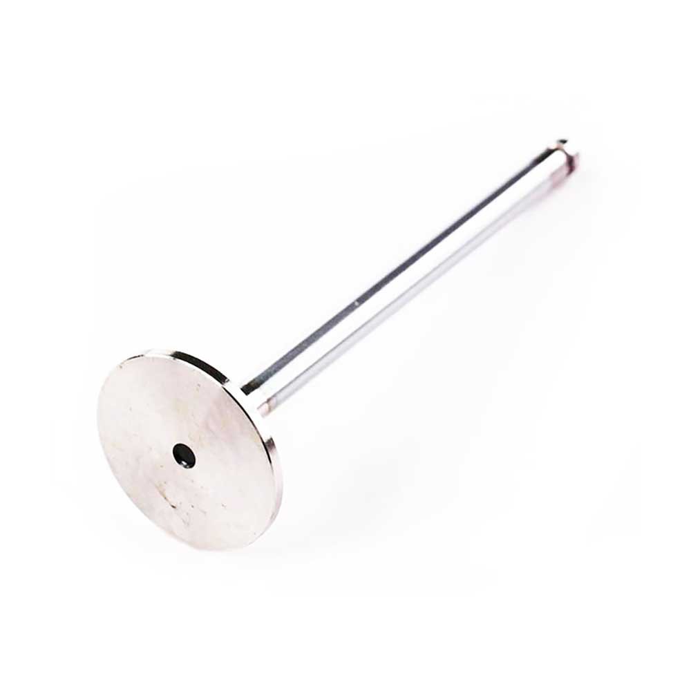 EXHAUST VALVE