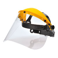 Browguard with Clear Visor Set