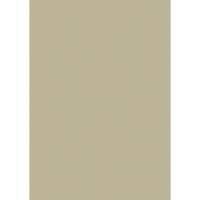Farrow & Ball Ball Green No.75 Colour Swatch