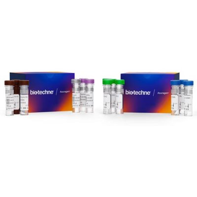 QuantideX&reg; qPCR BCR-ABL minor Kit (RUO), 60 reactions