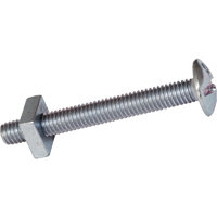 Bolt Gutter M6 X 30mm Each