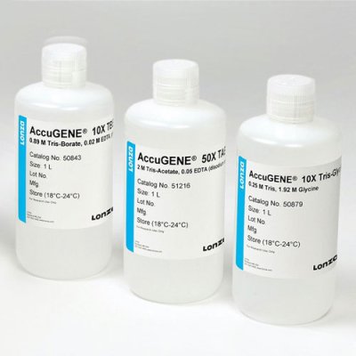 AccuGENE&reg; 10X MOPS Buffer (1L)