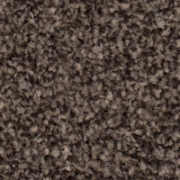 APOLLO PLUS 5M TAMARIND