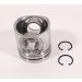 PISTON BODY C/W CLIPS (BTA)