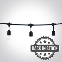 One Light 8.5m Black String Lights without Bulbs
