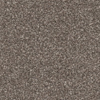 PRIMO CHOICE ELITE 4M BRAZIL NUT