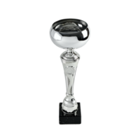 34cm Silver Metal Cup Mirror Finish