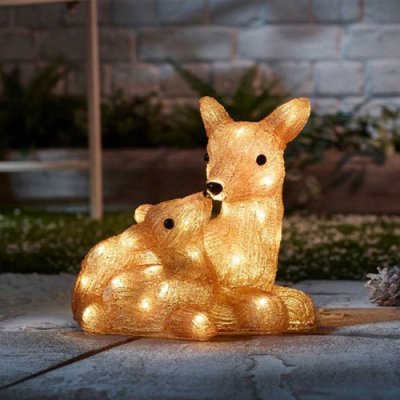 Inlit Ice Doe & Fawn