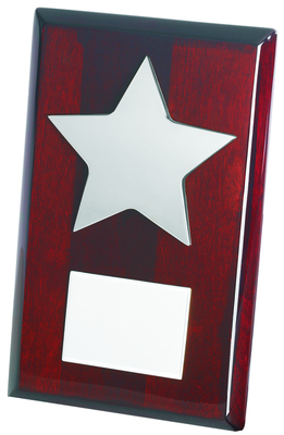 Silver Star on Wood Plaque 20cm