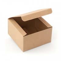 BOX CAKE/GIFT  250X250X100MM NAT.CORREGATED