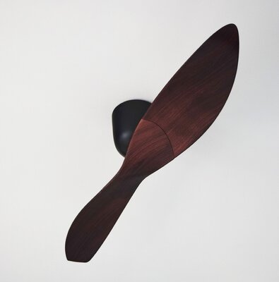 Aeratron AE2+ 2 Blade 50" DC Black and Dark Timber Ceiling Fan