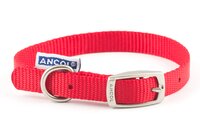 Ancol Viva Nylon Buckle Collar 26-31cm Size 2 Red x 1