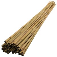 BAMBOO CANES 1.8 MTR / 6 FT.