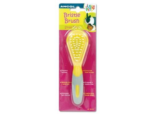 RABBIT-BRUSH-AN164102