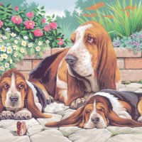 Basset Hounds - Large Paint By Numbers