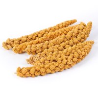 Extra Select Millet Sprays 1kg