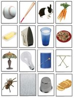 Language Cards - Go Together