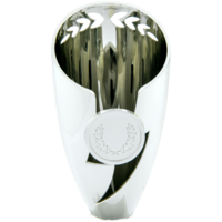 125mm Kilrush Cup (Silver)