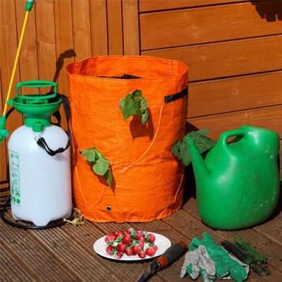 Kingfisher Strawberry Grow Bag
