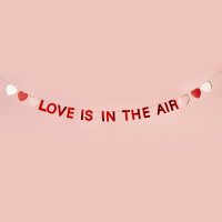 Red 'Love Is In The Air' Card Banner 2m