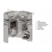 PISTON BODY STD, C/W CLIPS