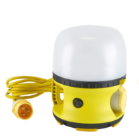 30W LED 110V Globe Light