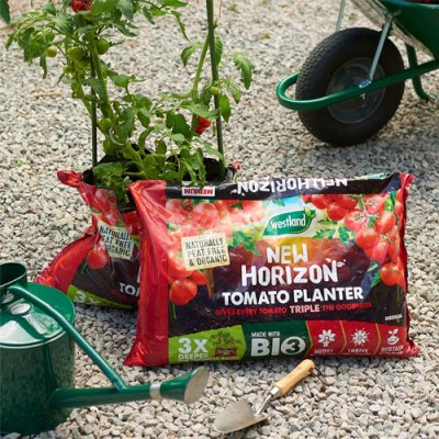 New Horizon Tomato Planter 1