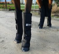 Boots 2020 Cob Black/Black
