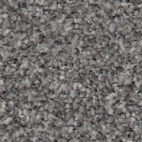 APOLLO PLUS 4M NIGELLA