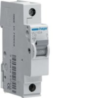 Hager 10A S/P C Curve 6kA MCB MU110A
