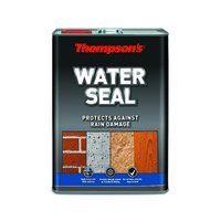 THOMPSONS WATER SEAL 5 LTR
