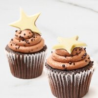 white chocolate stars decorated on top of a chocolate cupcake with light brown cocoa frosting