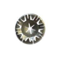 Audi Speed Fastener Pk50