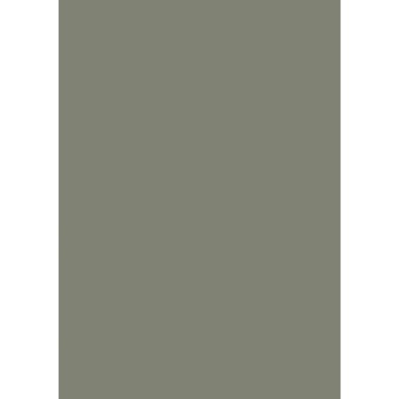 Farrow & Ball Treron Colour Swatch