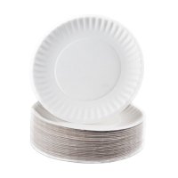 Paper Plates 7"  (100) 