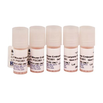 Stem Cells, Irradiated Mouse Embryonic Fibroblasts, 5 vials