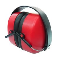 Ear Muff - Foldable