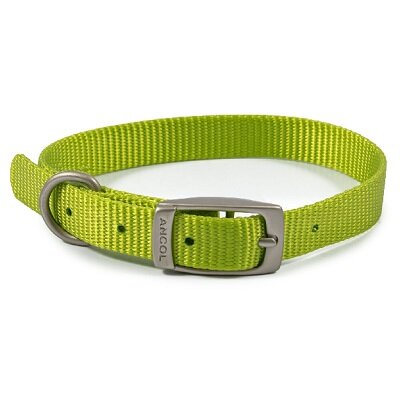 Ancol Viva Buckle Collars Lime 20-26cm