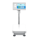 Advanced Label Printing Scale 60kg, 2g resolution, 3000x400mm pan size, (certificate not included)