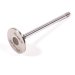 VALVE, INLET STD