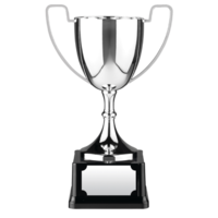 40cm Swatkins Replica Nickle Plated Cup