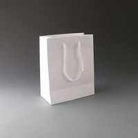 Small Luxury White Gift Bag