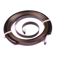 Briggs & Stratton Recoil Spring