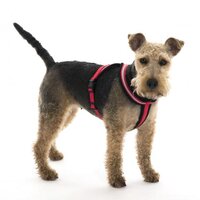Company of Animals Comfy Harness Size 6/L (Chest 70-90cm) Red