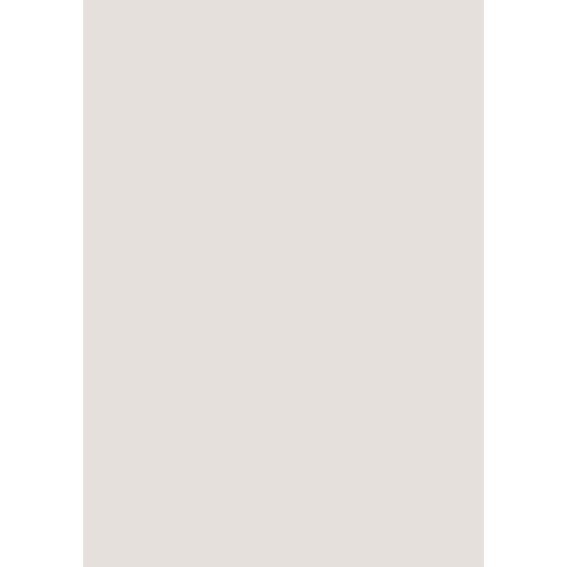 Farrow & Ball Strong White Colour Swatch