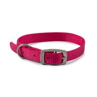 Ancol Viva Nylon Buckle Collar 26-31cm Size 2 Pink x 1