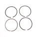 RING SET (110MM) 4 RING