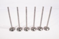 MAIN & THRUST BEARING SET - STD